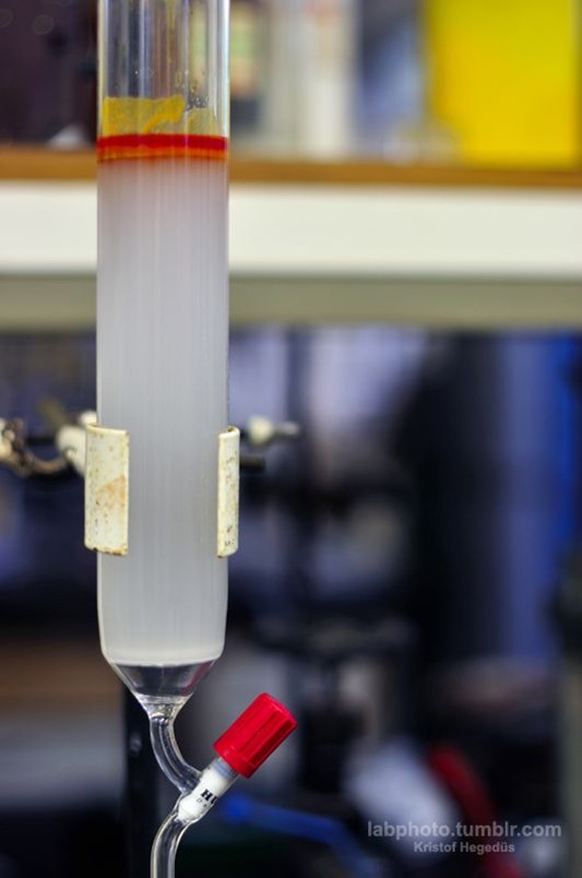 Purification Techniques