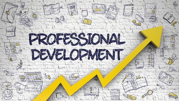 Professional Skills Development